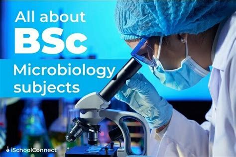 Bsc Microbiology Subjects All You Need To Know