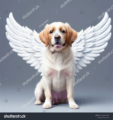 Cute Dog Angel Wings Stock Illustration 2269778941 | Shutterstock