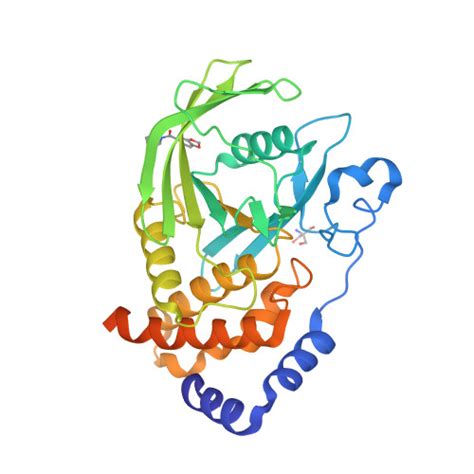 Rcsb Pdb Qdz Pandda Analysis Group Deposition Crystal Structure