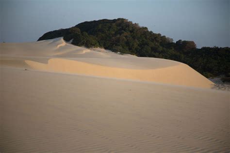 Sandy Lines With Patch Of Forest Behind Cumbuco Sand Dunes Cumbuco