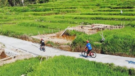 Jelajah Desa Wisata Golo Loni Di Manggarai Timur Bisa Apa Saja