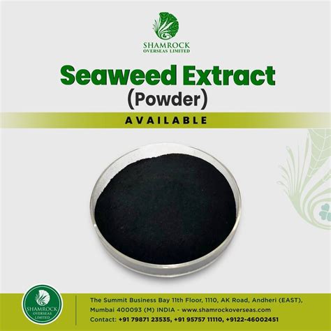 Seaweed Extract Powder Bag Kg At Rs Kg In Mumbai Id