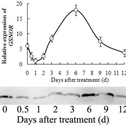 A Time Course Of 100 MM NaHCO 3 Induced Changes In Transcripts Of