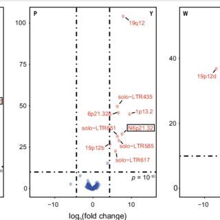 Detection Of The Polymorphic Insertion HERV K HML 2 Loci In Three