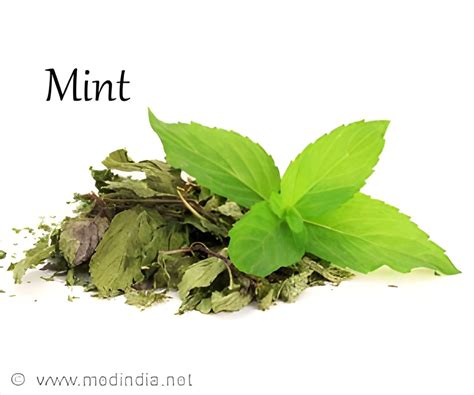 Enjoy Benefits Of Pudinamint Leaves