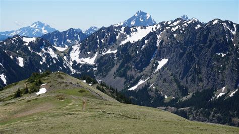 Day Hike - Mount Townsend Trail — The Mountaineers