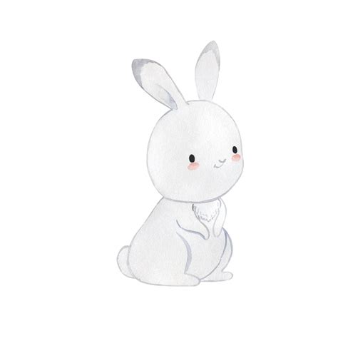 Anime Pet Bunny