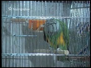 JA NEJSEM JA NUDE SCENES AZNude