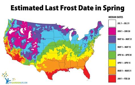 Estimated Last Frost Date in Spring | Seed starting, Map, Trees to plant