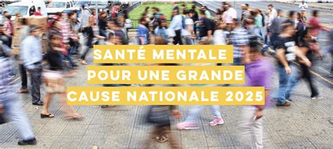 Santé mentale pour une grande cause nationale 2025 Ari