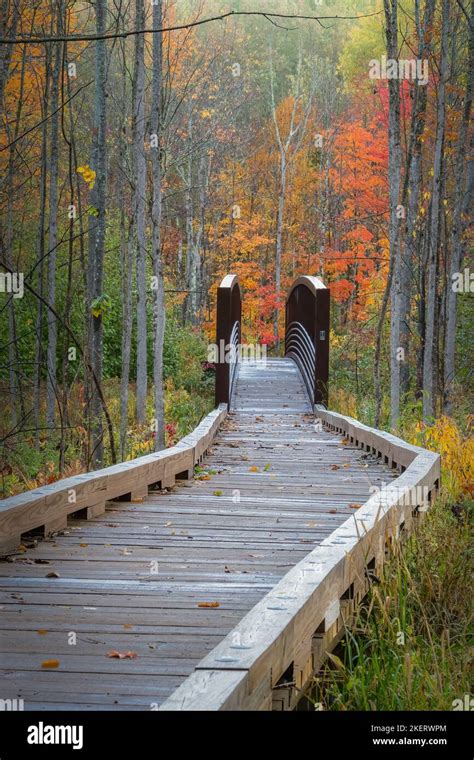 The Hiking Trails Into The Saint Peters Dome Recreational Area In The