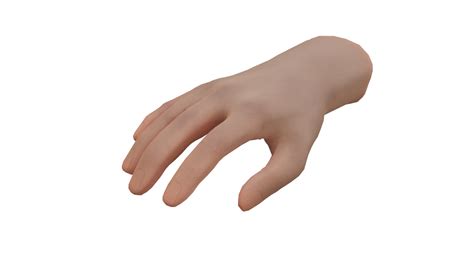 Hand Naked 3D Model TurboSquid 2037308