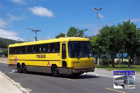 Tecnobus Tribus Iii