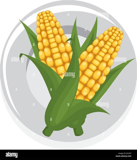 Corns Vegetables Icon Over White Background Vector Illustration Stock