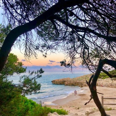 Cala Romana S Un Petit Parad S Entre Pins A Tocar De Tarragona Costa