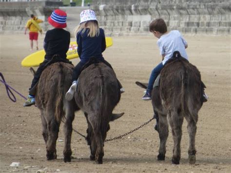 Donkey Rides South Sands Bridlington Photo Uk Beach Guide