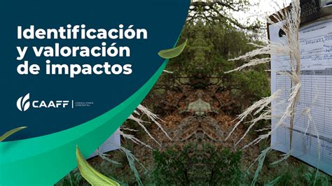 Caaff Identificación Y Valoración De Impactos