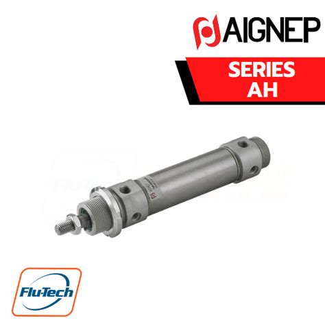 AIGNEP SERIES AH DOUBLE ACTING CUSHIONED MAGNETIC