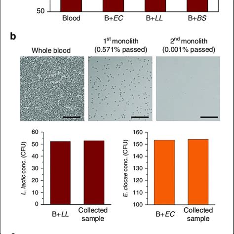 A Rbc Lysis Efficiency Of Whole Blood In High Throughput Devices