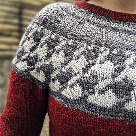 Ravelry Tangled Galashiels Pattern By Eildon Hills Designs