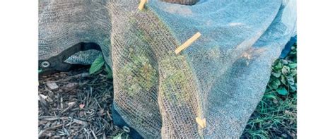 How to Make a Shade Cloth For Plants - Hobby Farms