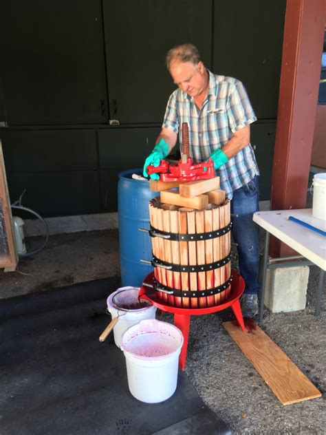 Our Journey at Palisades Canyon