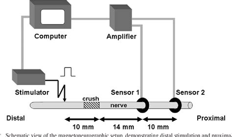 Table From Significant Reduction In Neural Adhesions After