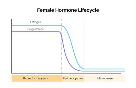 Premium Vector Female Hormones Lifestyle Graph Estrogen End