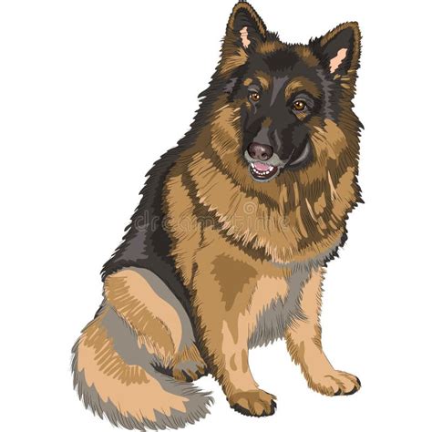 Vector Color Sketch Dog German Shepherd Breed Stock Vector