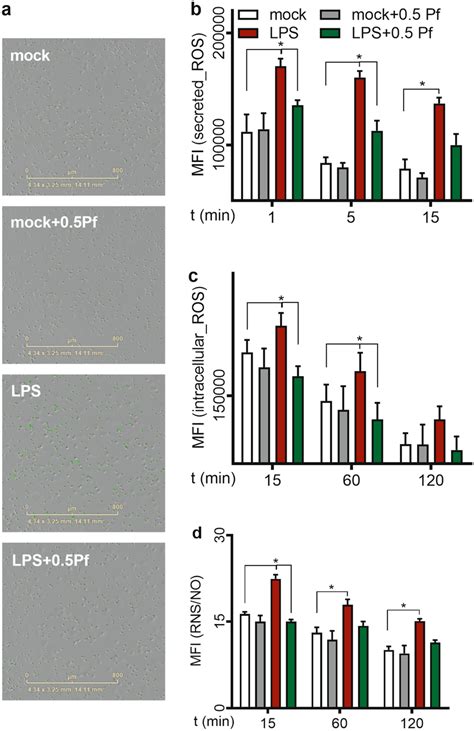 Pf Reduces Neutrophil Oxidative Burst Oxyburst Green H Hff Bsa