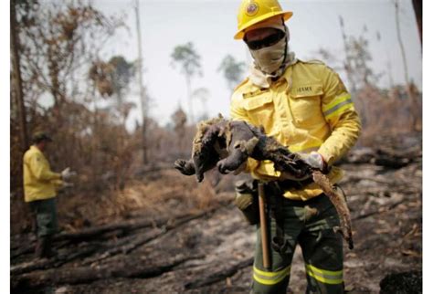 Bolsonaro Dice Que Los Crecientes Incendios En El Amazonas Son Una Mentira