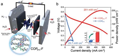 Performance Of Pemfcs A The Schematic Illustration For Assembled