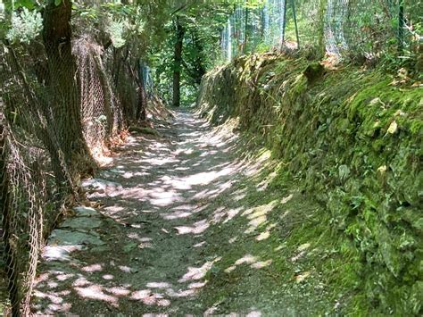 Sentieri In Sicurezza Proseguono I Lavori Sulle Colline Di Pietrasanta