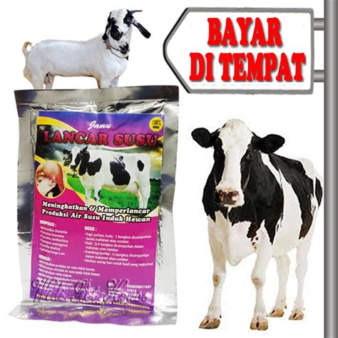 Jual Vitamin Pelancar Air Susu Sapi Kambing Perah Jamu Lancar Hewan