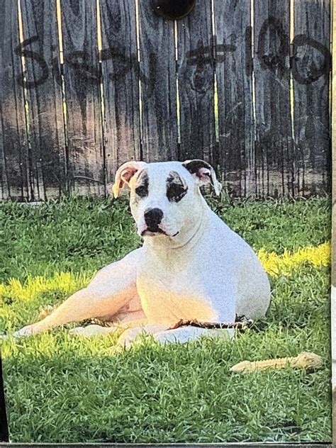 Holly Forest | Holly Hill FL