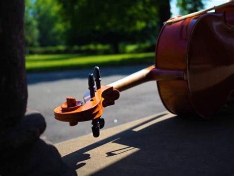 Lucy Neil Cello