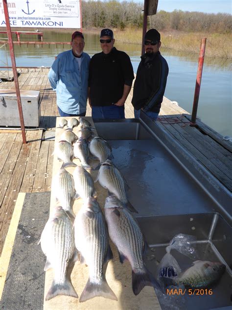 Lake Tawakoni fishing reports March 2016