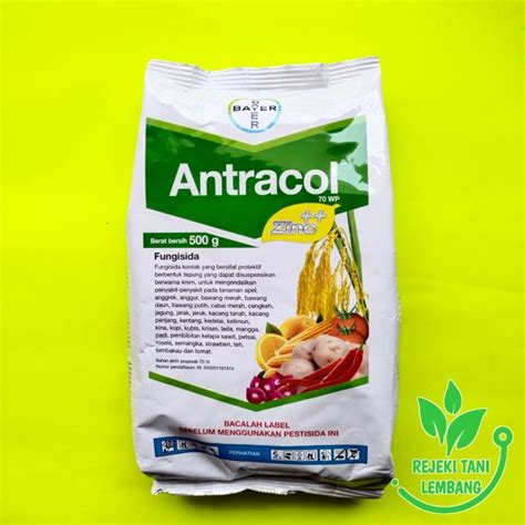 Jual Fungisida Antracol Wp Gr Pengendali Penyakit Tanaman Kab