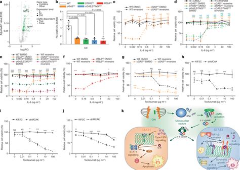 Il Il Rstat Signalling Induced By Cgas And Sting Is Required For