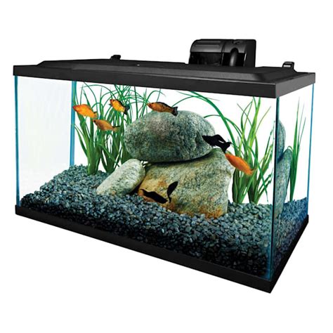 Tetra Open Glass 20 Gallon Rectangular Fish Aquarium Tank Petco Lupon