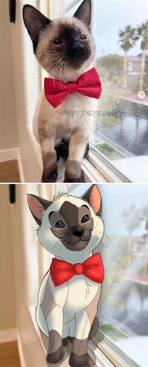 Artista Transforma Animais Da Vida Real Em Fofos Desenhos Da Disney