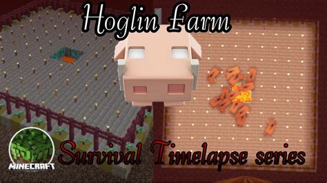 Minecraft Survival Ep Time Lapse Series Hoglin Farm Youtube