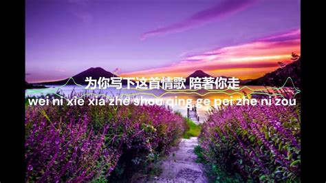 为你写下这首情歌歌词拼音 Song For You Wei Ni Xie Xia Zhe Shou Qing Ge Lyrics