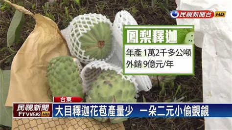 台東警察當護花使者 保護大目釋迦花－民視新聞 Youtube