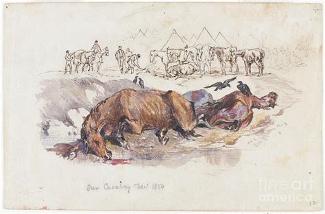 Our Cavalry Dead Horses 1854 Painting By Henry John Wilkinson Fine