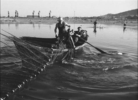 Notebook Primer Agnès Varda On Notebook Mubi