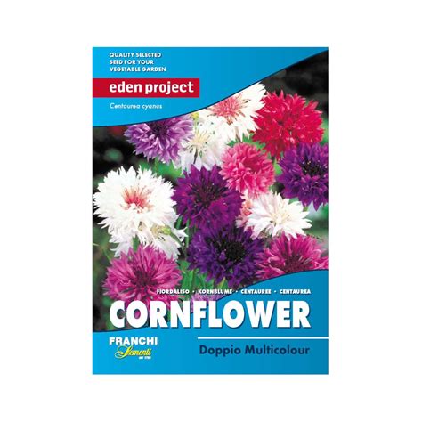 Cornflower multicolour seeds