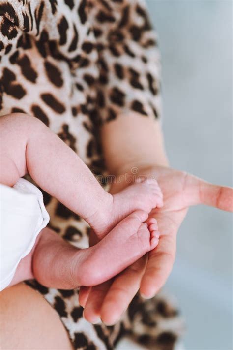 Baby Feet In Mother Hands Tiny Newborn Baby Feet On Female Hands Close