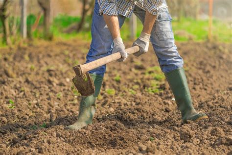 Effects Of Soil Tilling In The Garden Haute Life Hub