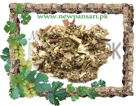 Dried Mugwort Leaves Natural Artemisia Vulgaris Herb Loose Leaves برنجاسف New Pansari